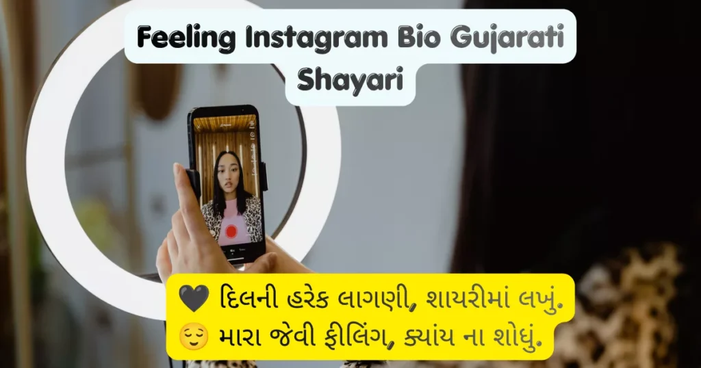 Feeling Instagram Bio Gujarati Shayari
